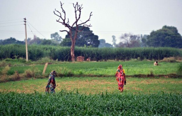 BBC_Why India’s sanitation crisis needs more than toilets