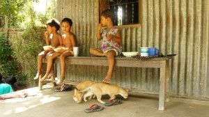 kids and cats in a village